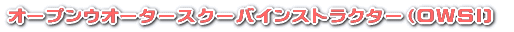 オープンウオータースクーバインストラクター