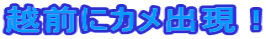 �z�O�ɃJ���o���I