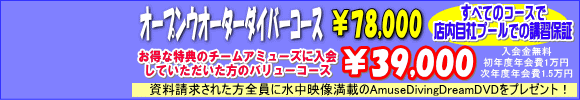 ����b�ΐ�b�_�C�r���O�bPADI�b�A�~���[�Y�}�����N���u