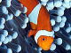 ����b�_�C�r���O�bPADI�b�k���b�ΐ쌧�b����b�_�C�r���O�t�H�g�P