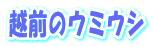 越前のウミウシ