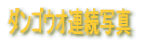 �_���S�E�I�A���ʐ^